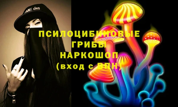 гашик Кулебаки