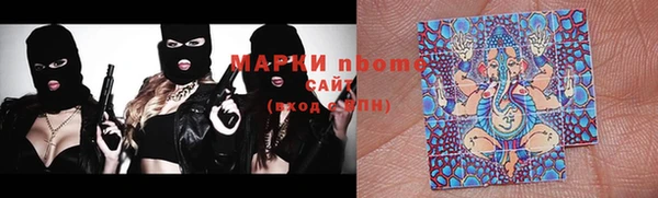 гашик Кулебаки