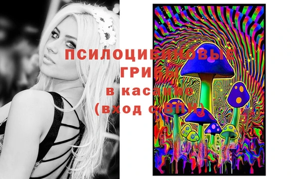 гашик Кулебаки