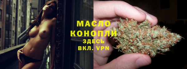 гашик Кулебаки