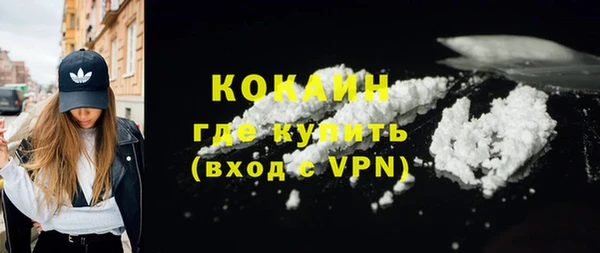 гашик Кулебаки